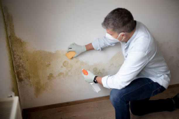 Dehumidification Services in Grottoes, VA