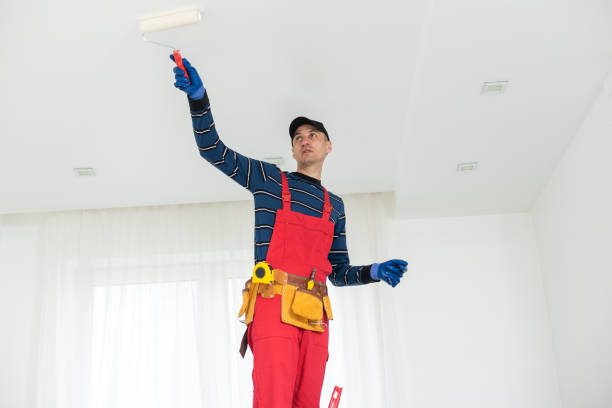 Best Environmental Consulting for Mold Prevention  in Grottoes, VA