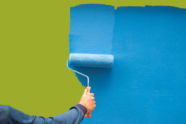 Best Forensic Mold Investigation  in Grottoes, VA
